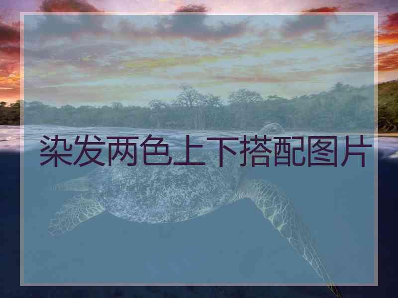 染发两色上下搭配图片