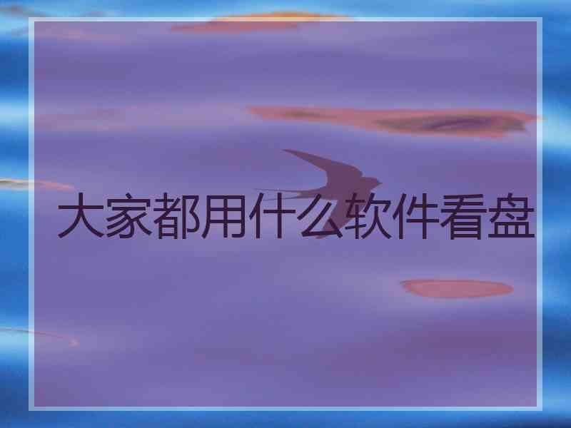 大家都用什么软件看盘