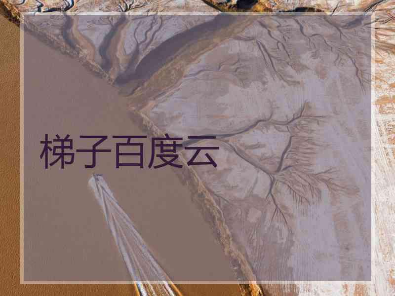 梯子百度云