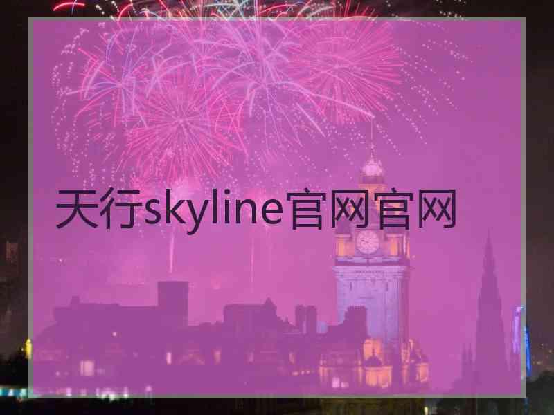 天行skyline官网官网