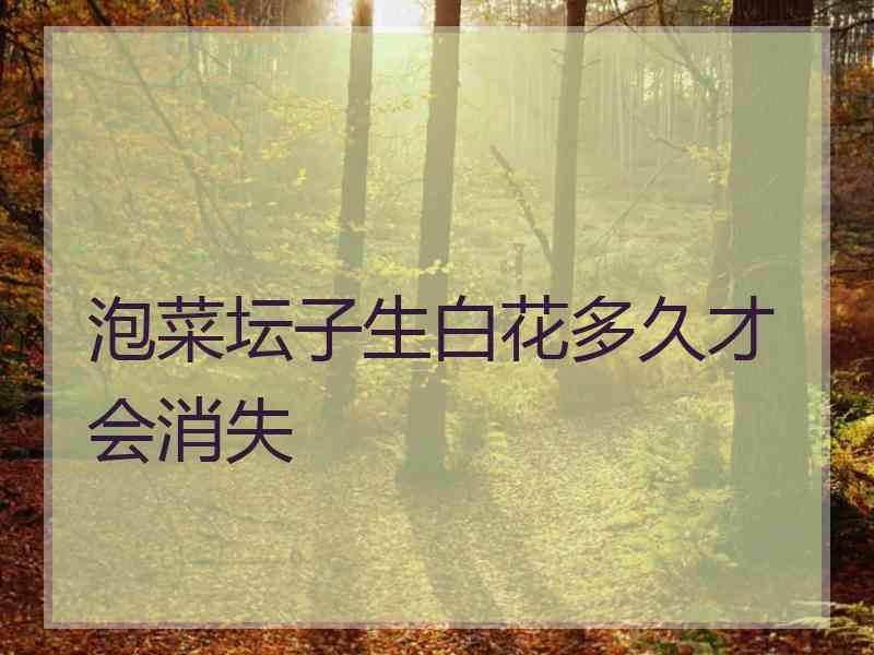 泡菜坛子生白花多久才会消失