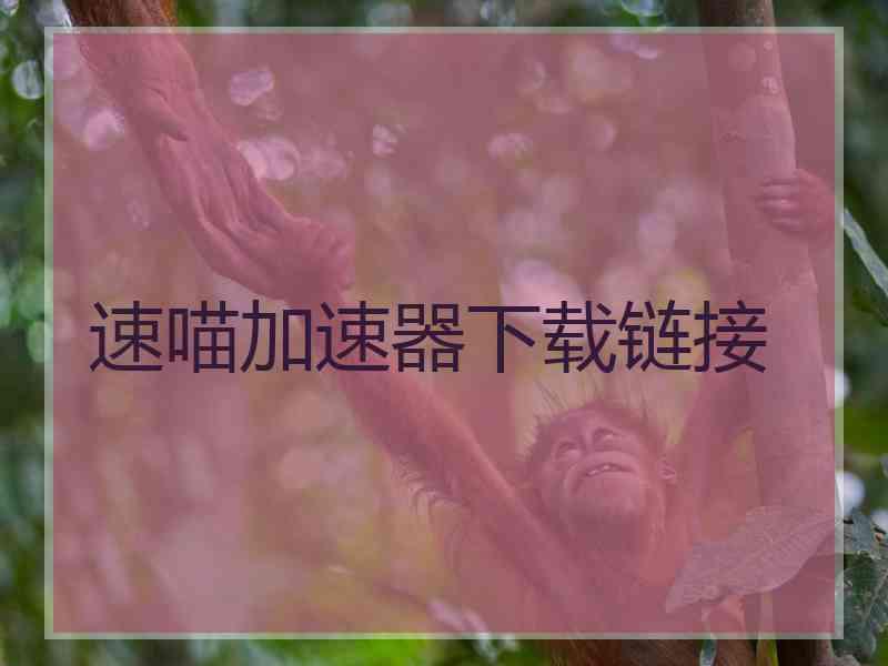 速喵加速器下载链接