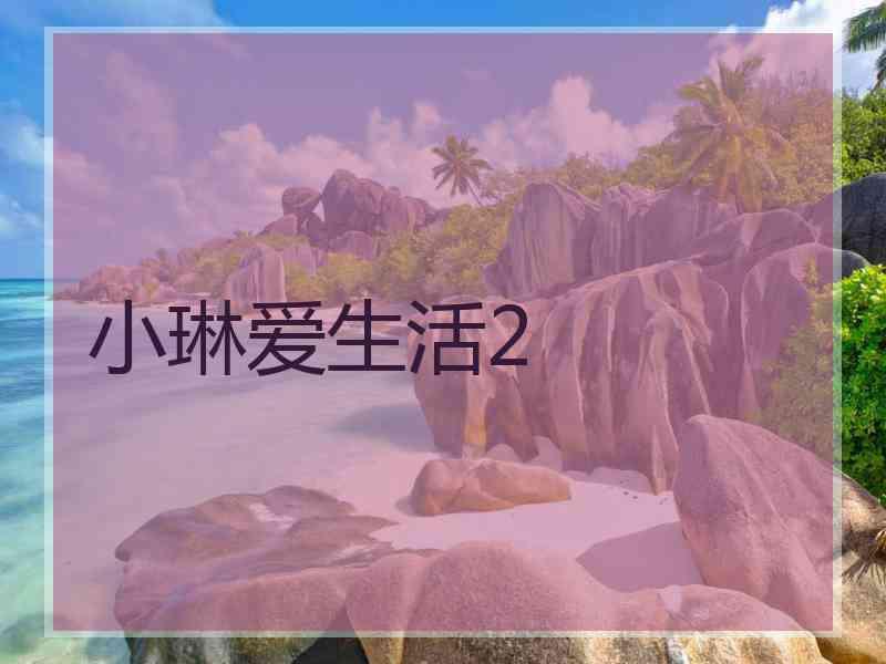 小琳爱生活2