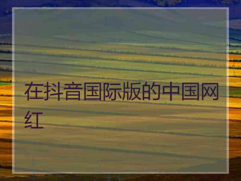 在抖音国际版的中国网红