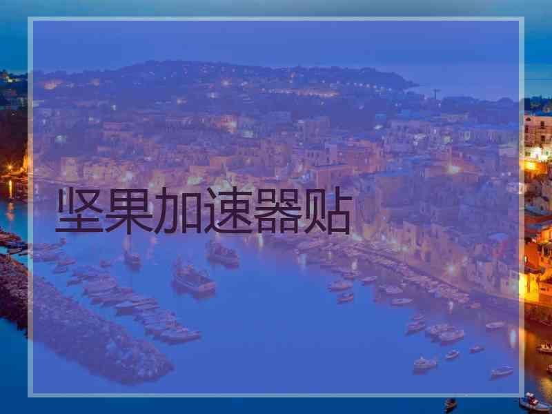 坚果加速器贴