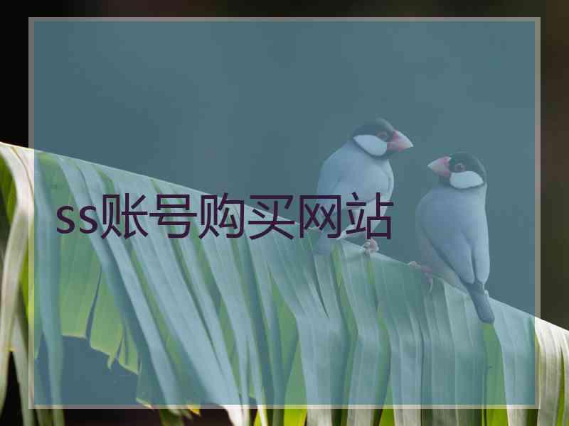 ss账号购买网站
