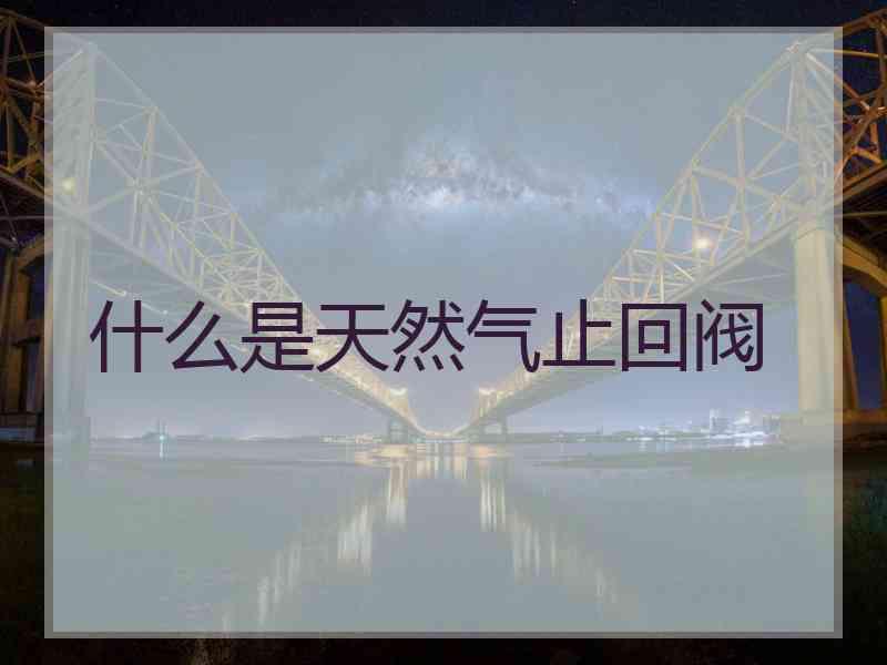 什么是天然气止回阀