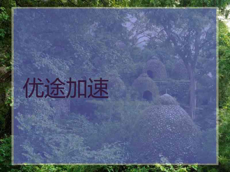 优途加速