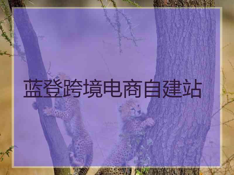 蓝登跨境电商自建站
