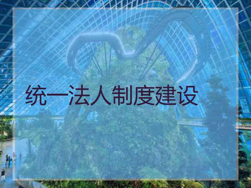 统一法人制度建设
