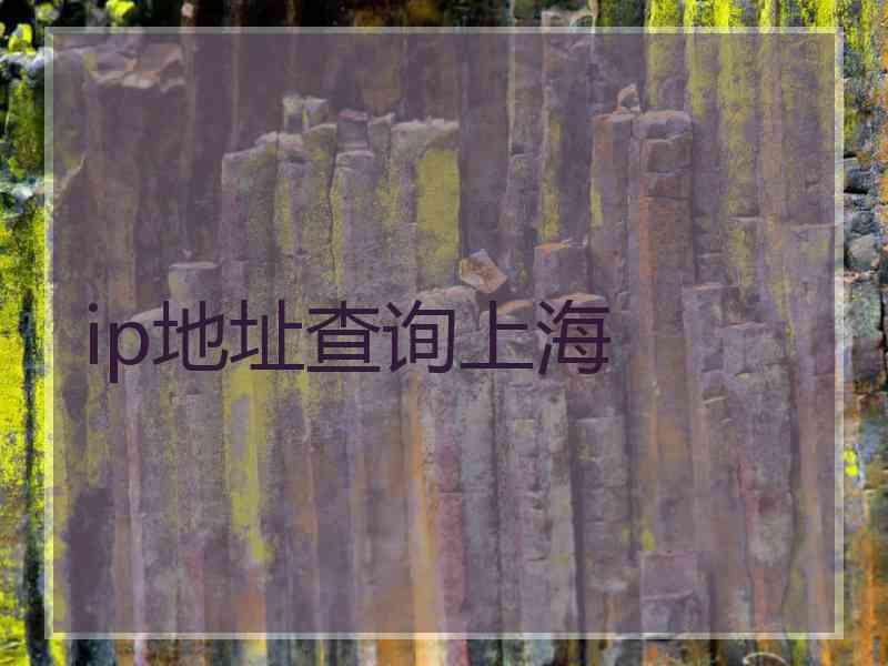ip地址查询上海