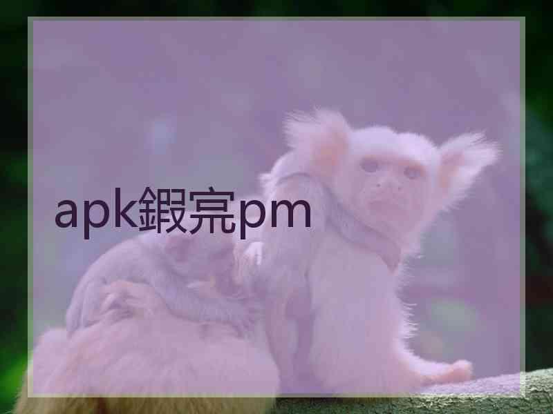 apk鍜宺pm