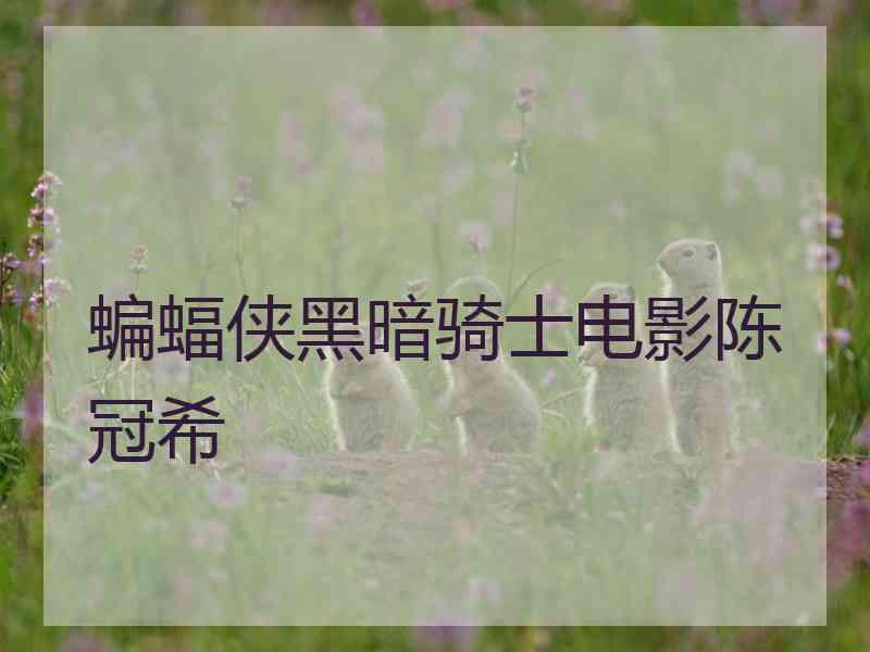 蝙蝠侠黑暗骑士电影陈冠希