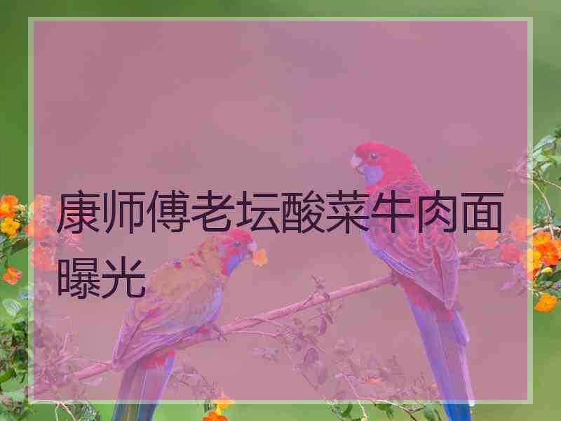 康师傅老坛酸菜牛肉面曝光