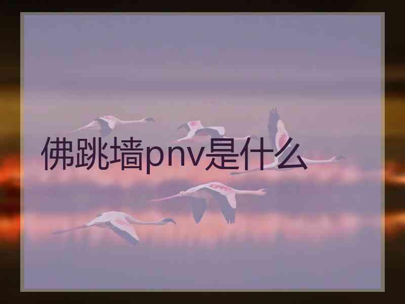 佛跳墙pnv是什么