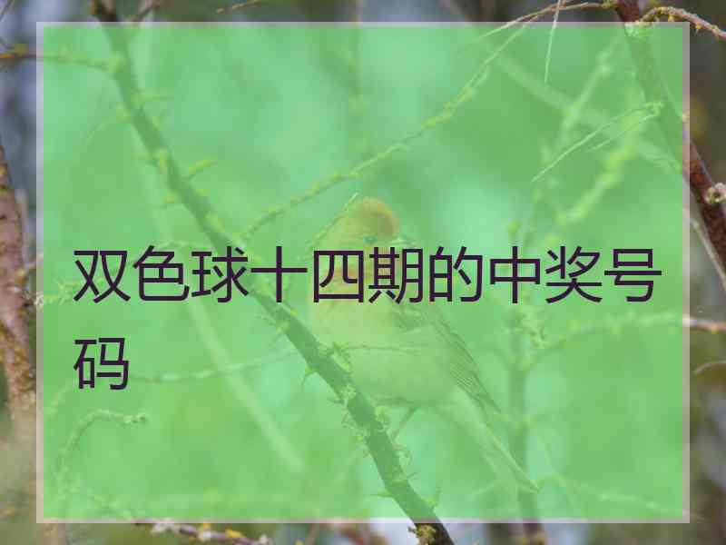 双色球十四期的中奖号码