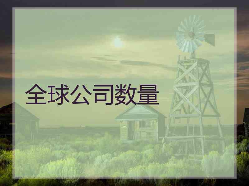 全球公司数量