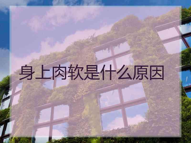 身上肉软是什么原因