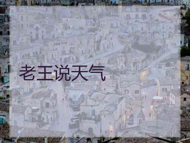 老王说天气