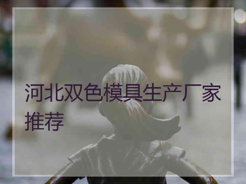 河北双色模具生产厂家推荐