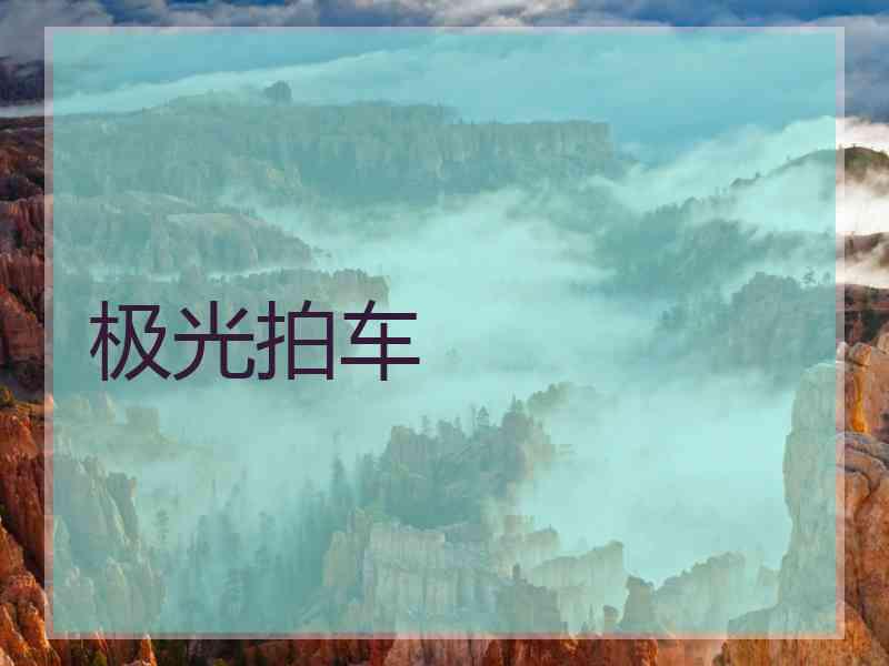 极光拍车