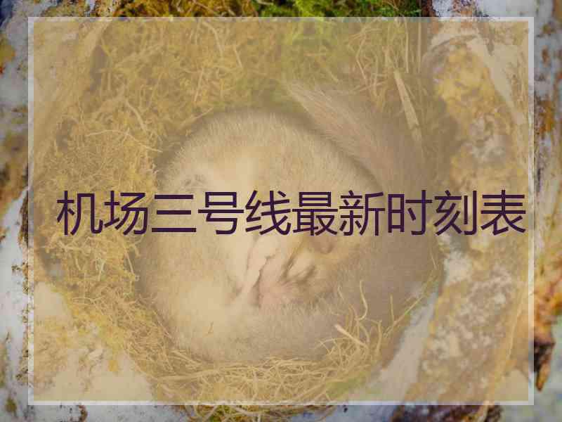 机场三号线最新时刻表