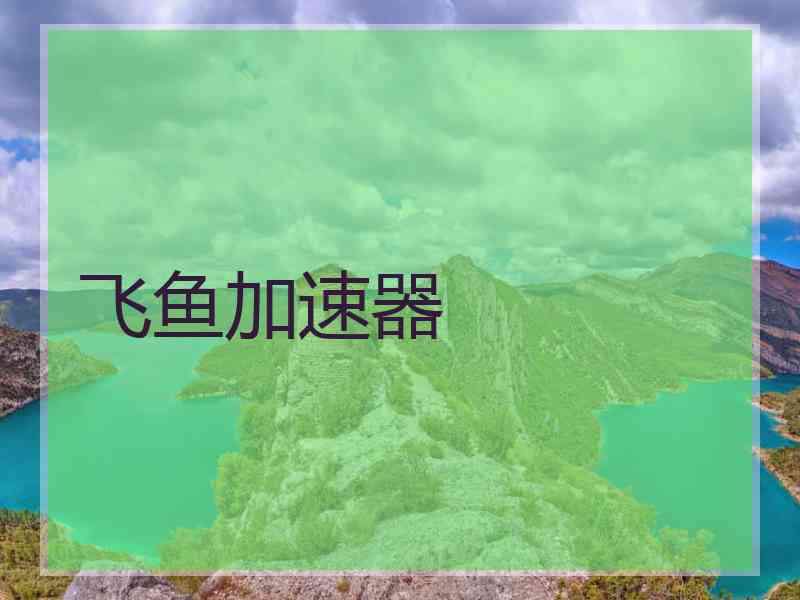 飞鱼加速器