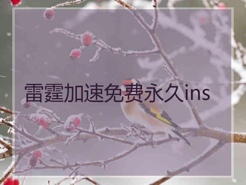 雷霆加速免费永久ins