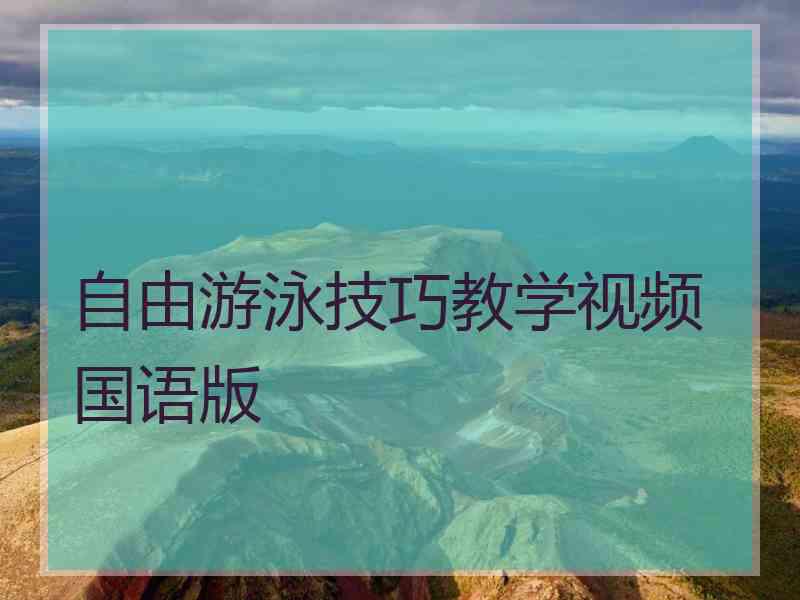 自由游泳技巧教学视频国语版