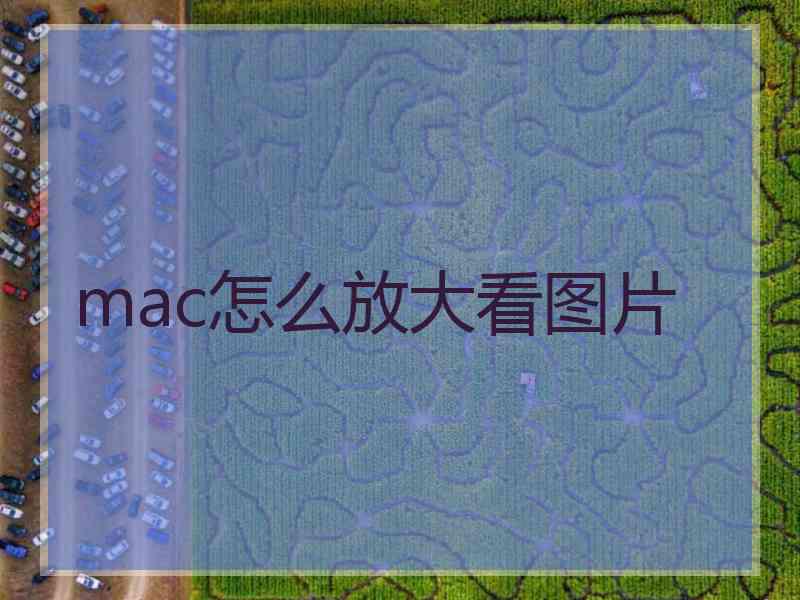 mac怎么放大看图片