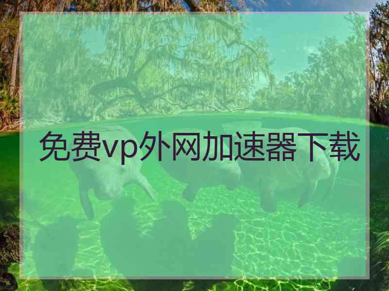免费vp外网加速器下载