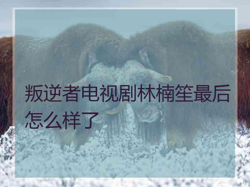 叛逆者电视剧林楠笙最后怎么样了
