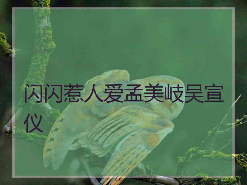 闪闪惹人爱孟美岐吴宣仪