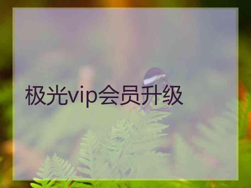 极光vip会员升级