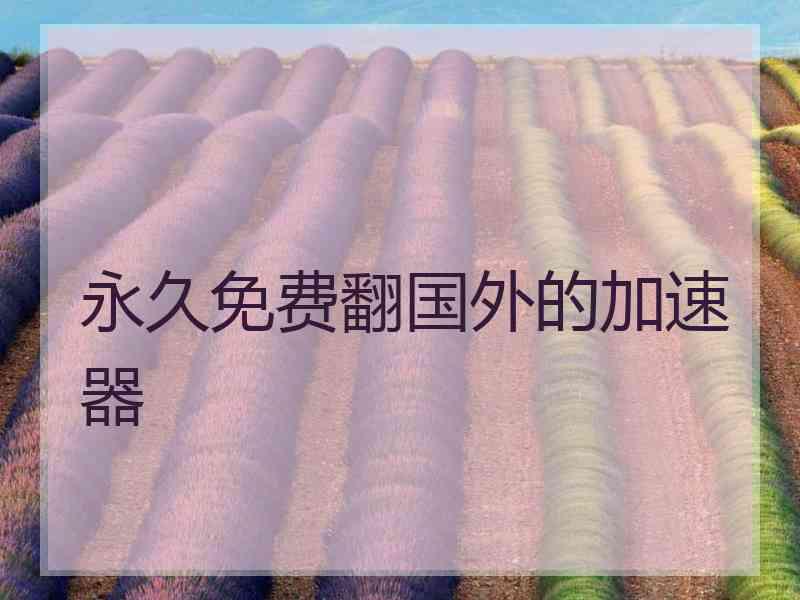 永久免费翻国外的加速器