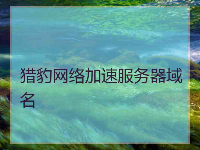 猎豹网络加速服务器域名