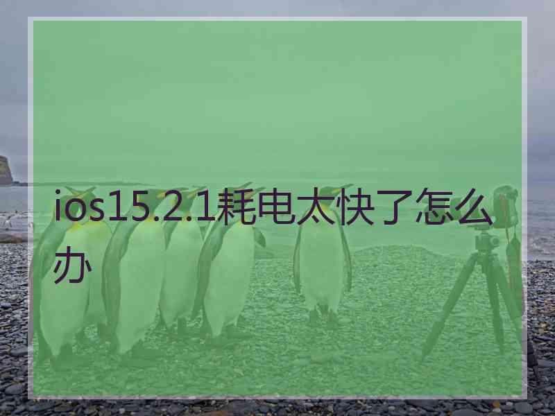ios15.2.1耗电太快了怎么办