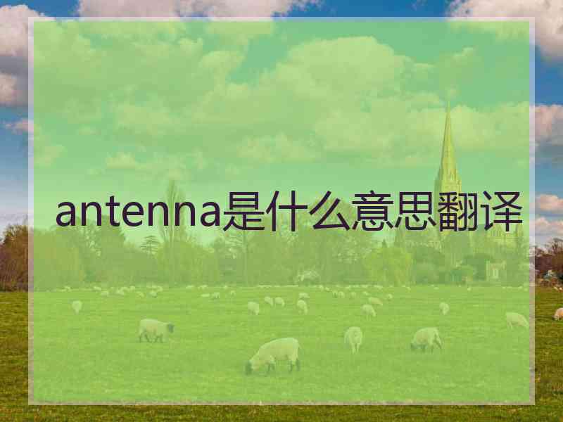 antenna是什么意思翻译
