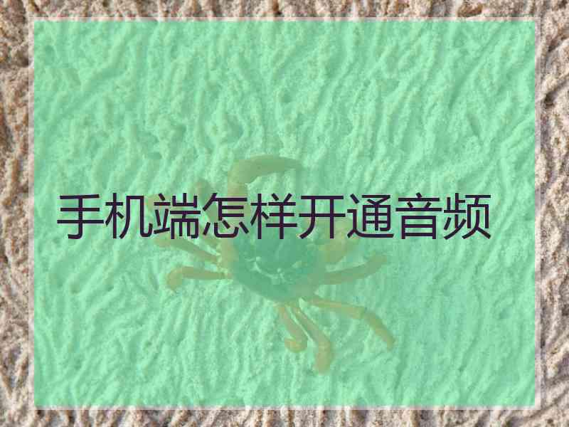 手机端怎样开通音频