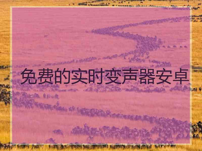 免费的实时变声器安卓