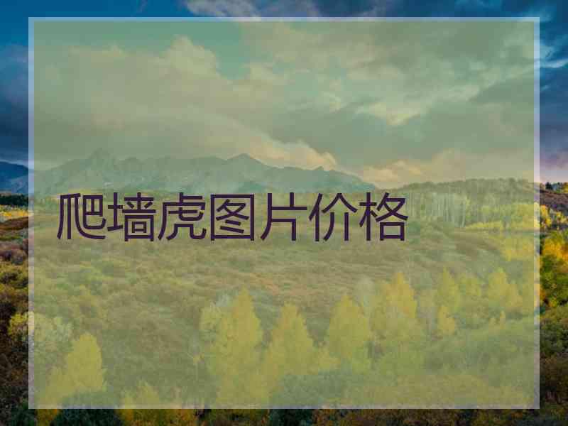 爬墙虎图片价格