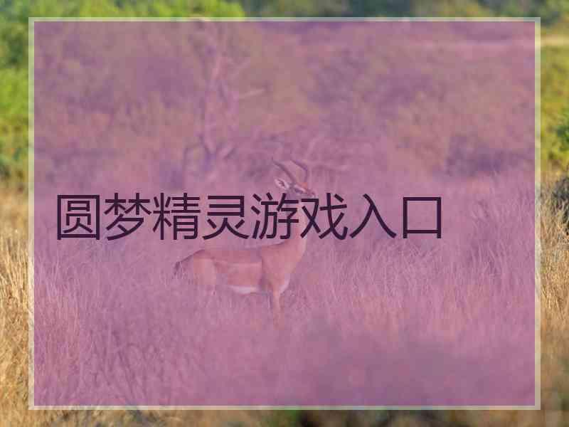 圆梦精灵游戏入口