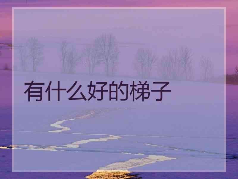 有什么好的梯子