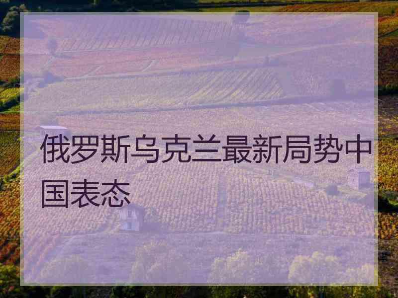 俄罗斯乌克兰最新局势中国表态