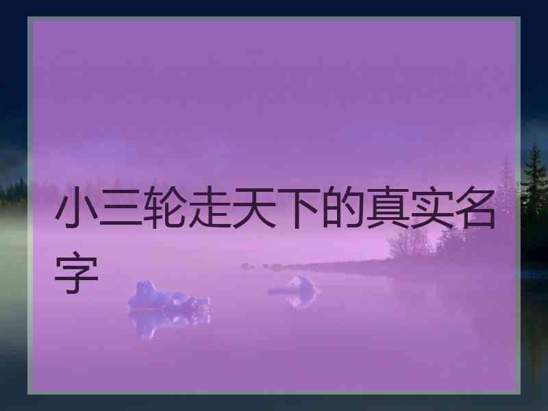 小三轮走天下的真实名字