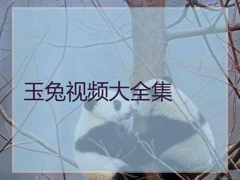 玉兔视频大全集