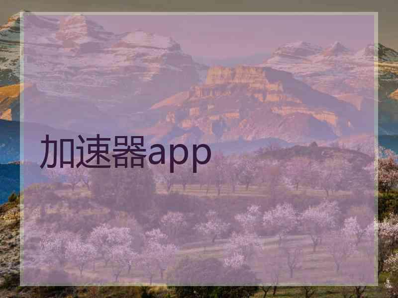 加速器app