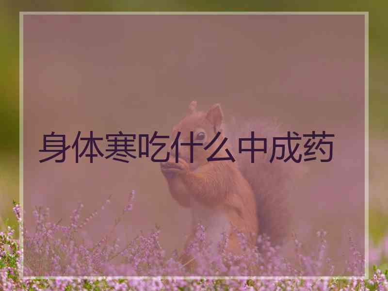 身体寒吃什么中成药
