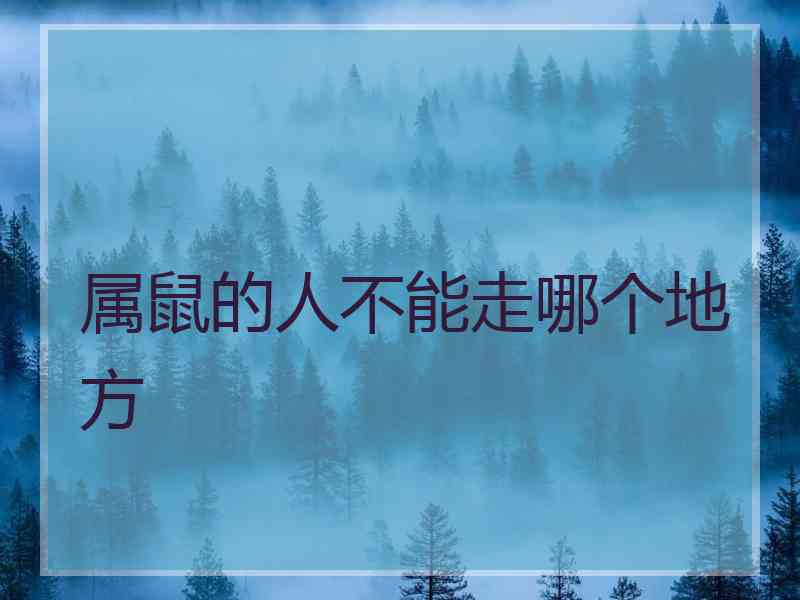 属鼠的人不能走哪个地方