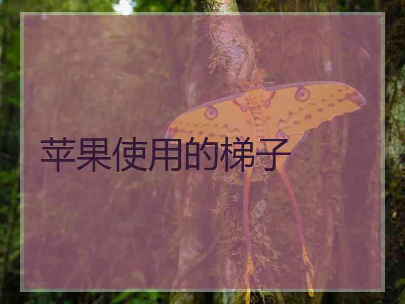 苹果使用的梯子